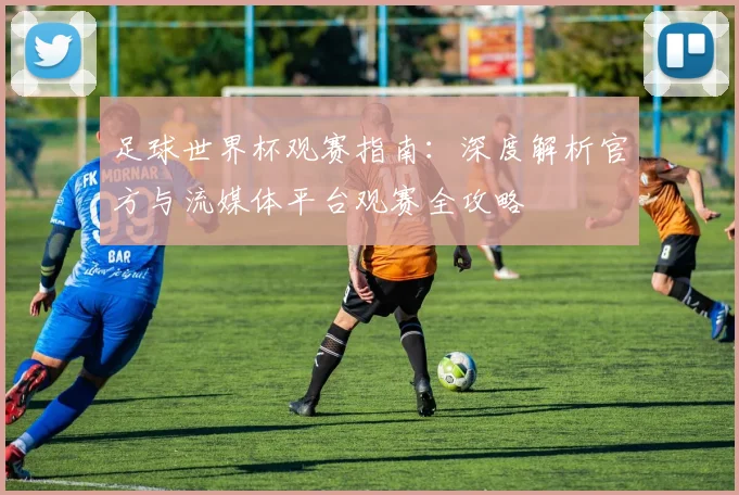 足球世界杯观赛指南：深度解析官方与流媒体平台观赛全攻略