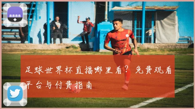 足球世界杯直播哪里看？免费观看平台与付费指南